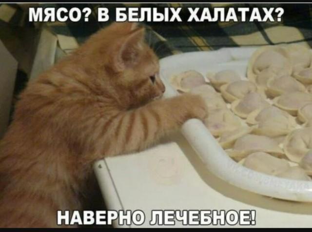 Веселые картинки с надписями - Юмор для любителей